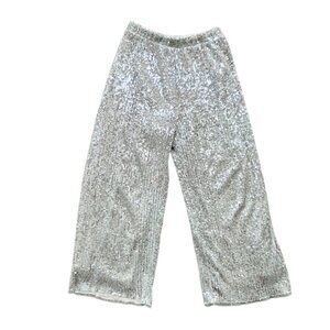 Zara Silver Sequins Lined Wide Leg Special Occasion Pants Size 10